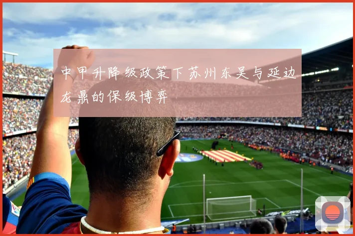 中甲升降级政策下苏州东吴与延边龙鼎的保级博弈
