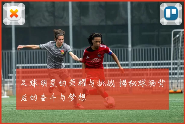 足球明星的荣耀与挑战 揭秘球场背后的奋斗与梦想