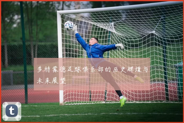 多特蒙德足球俱乐部的历史辉煌与未来展望